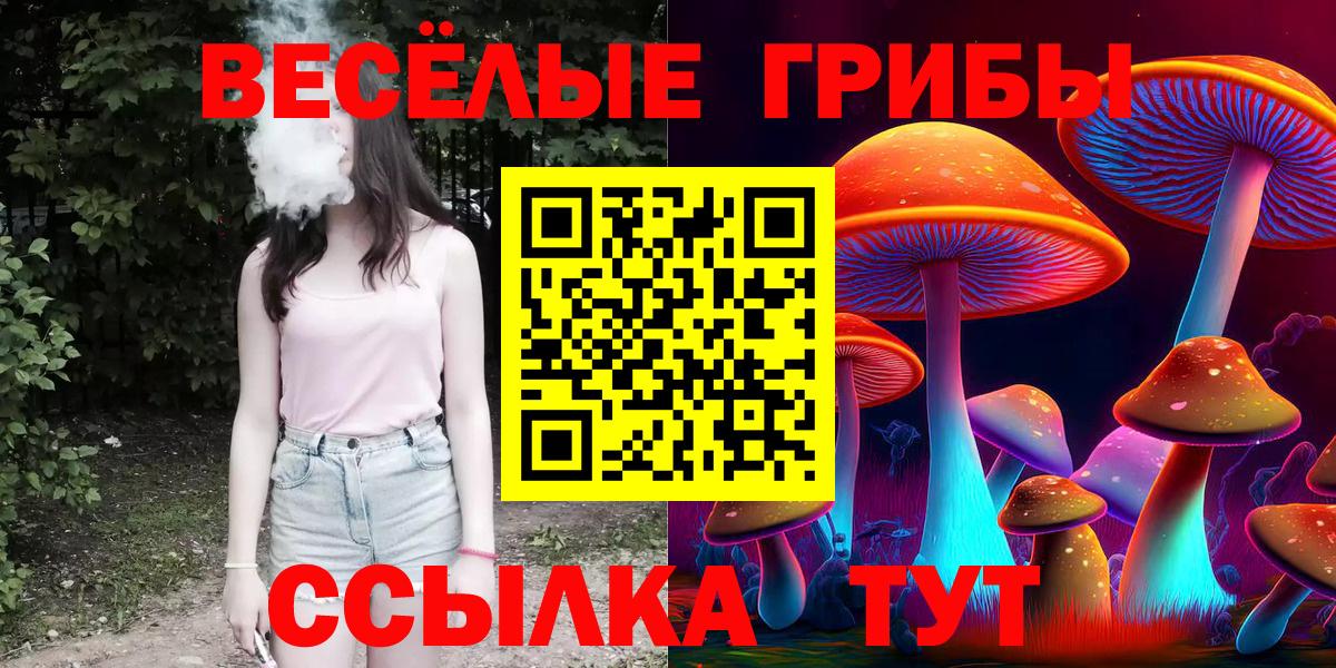 Солнечногорск  Галлюциногенные грибы MAGIC MUSHROOMS  Вход с VPN 